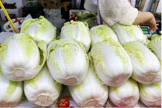 怎樣清洗大白菜農(nóng)藥殘留？如何挑選新鮮的大白菜？