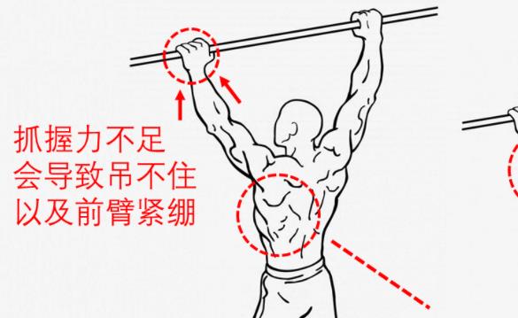 什么時(shí)候做引體向上效果好 下午4-6點(diǎn)提高肌肉負(fù)荷能力