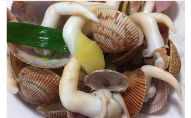 鳥貝都有哪些營養(yǎng)價(jià)值？食用鳥貝的禁忌有哪些？