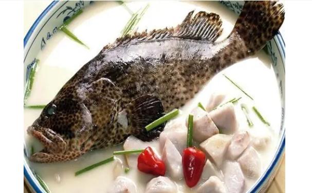 食用石斑魚有哪些功效與作用？哪些人群不宜食用石斑魚？