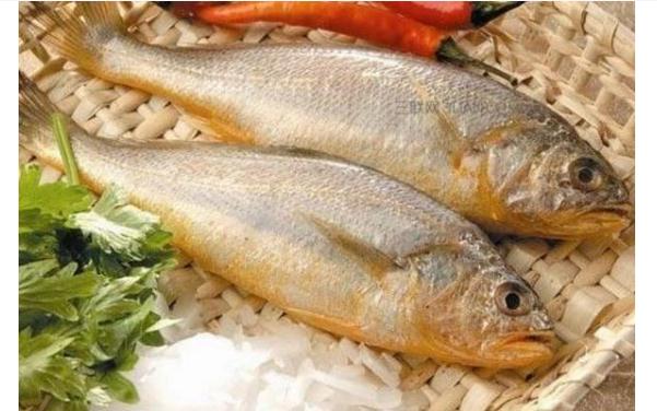 黃花魚有什么營養(yǎng)價值？哪些人群不宜食用黃花魚？