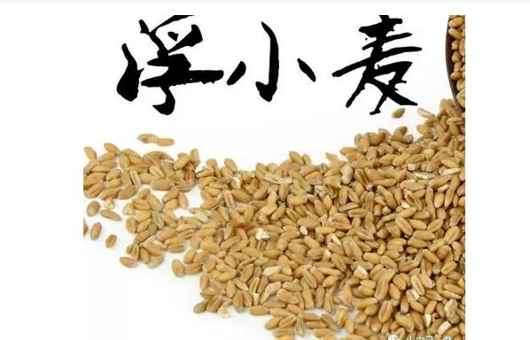 浮小麥有哪些作用與功效？哪些人群不宜服用浮小麥？