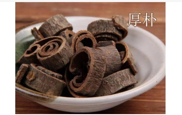 厚樸有什么功效與作用？服用厚樸的禁忌有哪些？