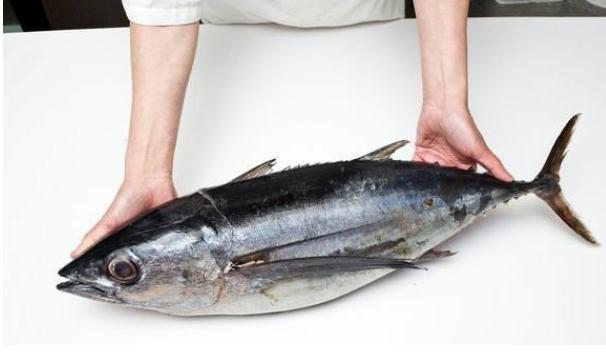 食用金槍魚有哪些功效與作用？哪些人群不宜食用金槍魚？