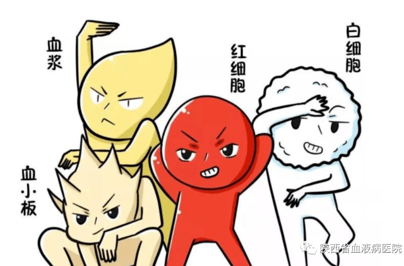 血小板減少患者面對效果不好、激素?zé)o效、或反復(fù)的情況時(shí)，該怎么辦呢？陜西省血液病醫(yī)院排名