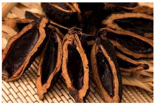 檳榔的功效及作用有哪些？哪些人不適宜食用檳榔？