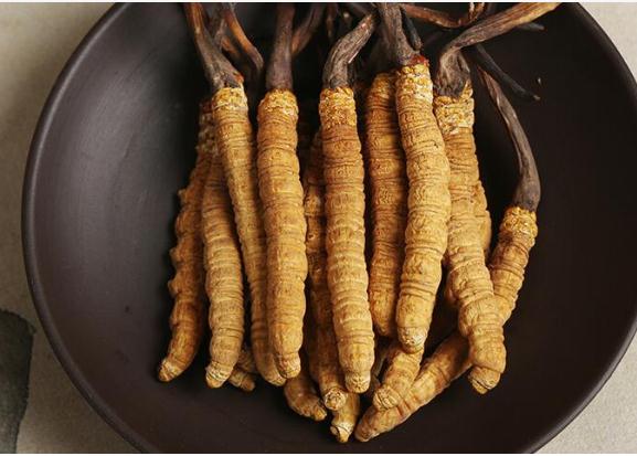 蟲(chóng)草有什么功效與作用？蟲(chóng)草怎么吃？