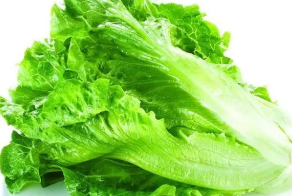 生菜有哪些營養(yǎng)價值及功效？哪些人群不適宜食用生菜？