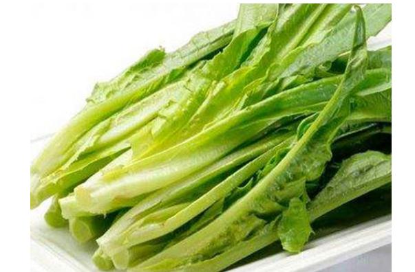 油麥菜的功效及作用有哪些？油麥菜與哪些食物不能同食？
