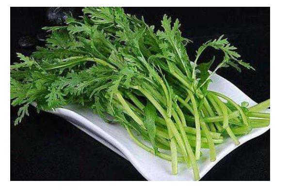 茼蒿的功效與作用有哪些？哪些食物不宜與茼蒿同食？