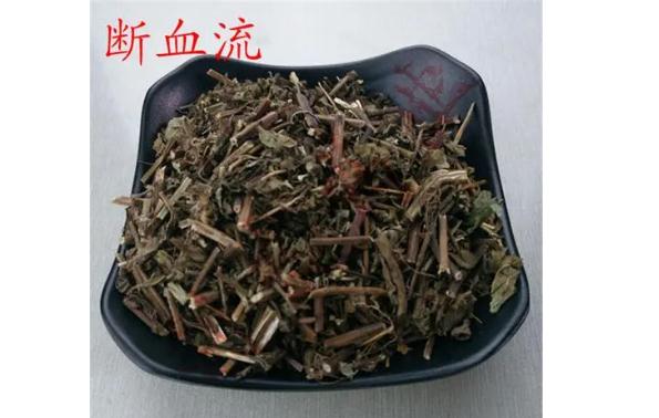 斷血流能治療什么疾?。繑嘌饔心男└弊饔?？