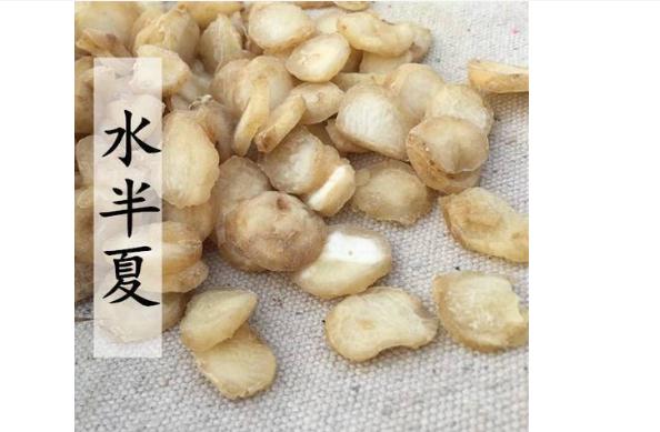 水半夏能治療什么疾??？水半夏的副作用及禁忌有什么？