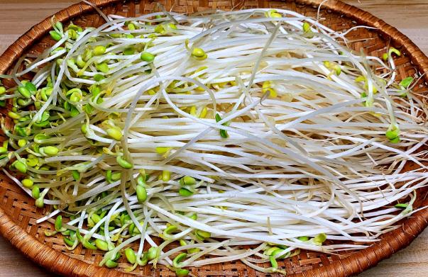 綠豆芽需要掐頭去尾嗎？豆芽根能吃嗎？