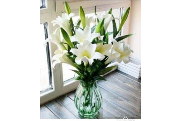 百合花怎么水養(yǎng)更長久？百合花放花瓶里怎么養(yǎng)？