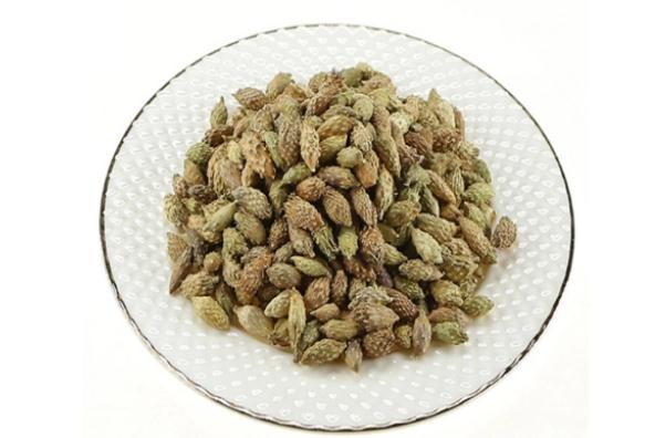 蒼耳子能治療蕁麻疹嗎？蒼耳子能治療鼻息肉嗎？