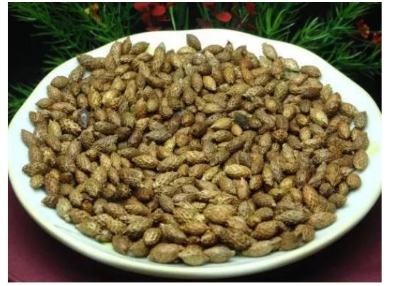 蒼耳子怎么挑選？蒼耳子怎么保存？