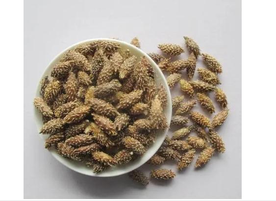 蒼耳子治療鼻炎方法是什么？蒼耳子治療鼻炎注意事項(xiàng)？