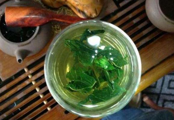魚腥草和桑葉能一起泡嗎？魚腥草桑葉水的功效是什么？