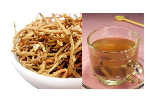 新鮮魚腥草怎么煮水？魚腥草能和蜂蜜一起喝嗎？