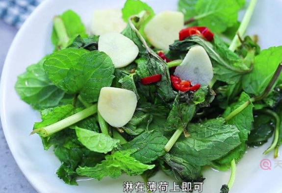 薄荷可以炒菜吃嗎？薄荷成分的食品為什么吃起來(lái)涼涼的？