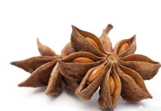 八角對孕婦有影響嗎？八角的食用價(jià)值有哪些？