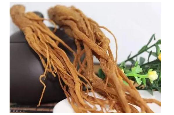 當(dāng)歸對肝臟有損傷嗎？當(dāng)歸對子宮有什么好處？