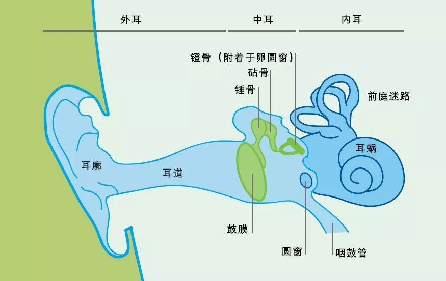 廣泛使用的藍牙耳機正在威脅你的耳朵健康嗎？