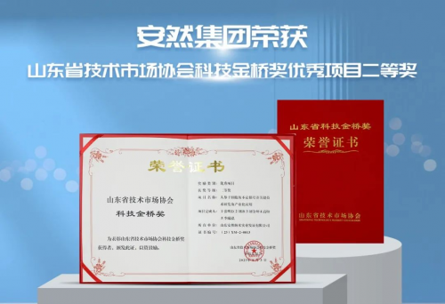 重磅喜訊丨安然集團榮獲山東省技術(shù)市場領(lǐng)域最高獎項！