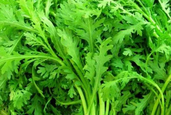 茼蒿有什么藥用價(jià)值？茼蒿可以降血壓?jiǎn)幔? data-resizeimgcut=