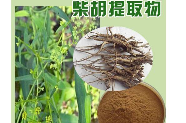柴胡可以緩解痛經(jīng)嗎？柴胡對于失眠有用嗎？