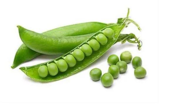 豌豆有什么營養(yǎng)價值？豌豆的功效與作用有哪些？