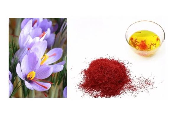 藏紅花能壯陽嗎？藏紅花泡水男人可以喝嗎？