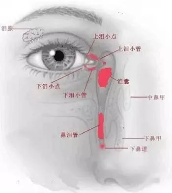 合肥愛爾眼科：淚道病久病不治，有哪些危害？