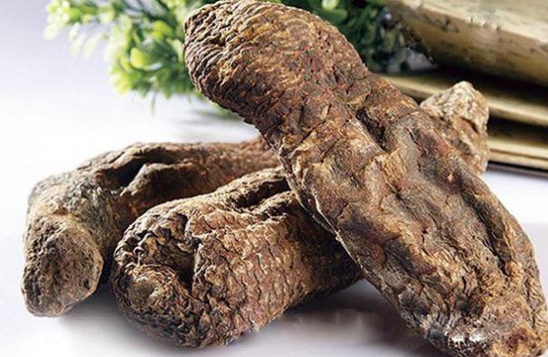 肉蓯蓉的食用方法有哪些？肉蓯蓉可以直接吃嗎？