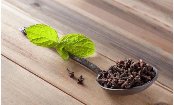 丁香能和薄荷一起泡茶嗎？丁香薄荷茶有什么功效？