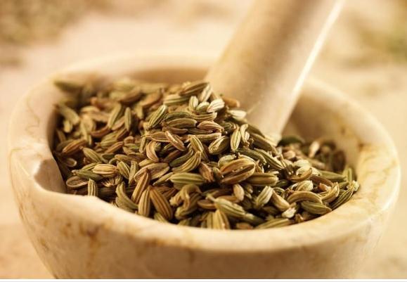 小茴香有什么營養(yǎng)價值？小茴香有哪些食用禁忌？