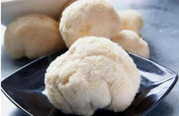 孕婦可以吃猴頭菇嗎？孕婦吃猴頭菇有什么好處？