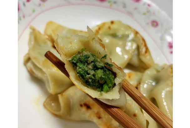 茴香豬肉餡兒怎么做？茴香菜春卷怎么做？