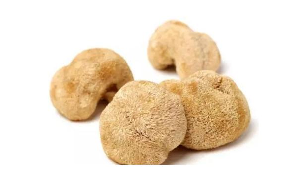 猴頭菇不能與什么同食呢？猴頭菇隔夜還能吃嗎？