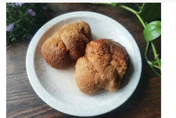 野生猴頭菇和人工猴頭菇怎么區(qū)別？猴頭菇清洗掉色嚴(yán)重正常嗎？