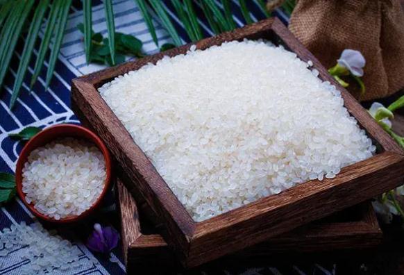 食用粳米有什么作用？吃粳米有什么好處？