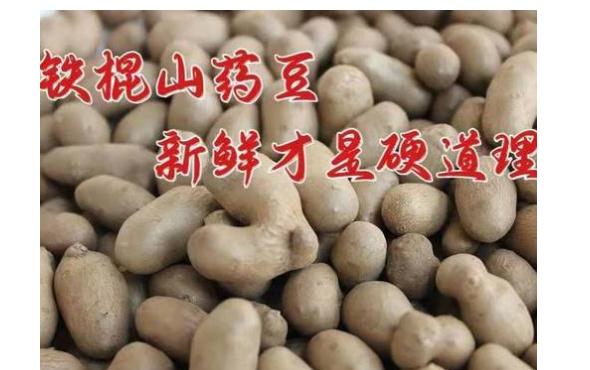 山藥豆和山藥有哪些區(qū)別？山藥豆是山藥的種子嗎？