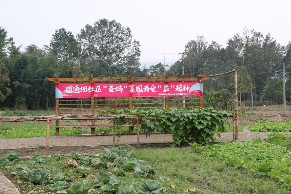歡聚金秋重陽(yáng)，共享溫馨佳節(jié)——探索“爸媽食堂”困境老人關(guān)懷服務(wù)項(xiàng)目的“1+3+6”服務(wù)模式