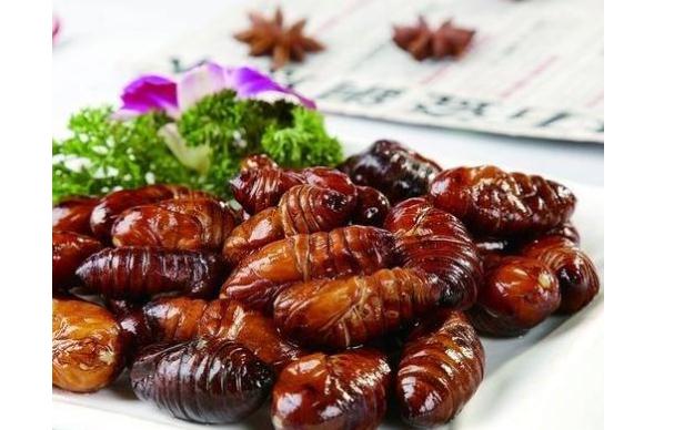 吃蠶蛹還有什么好處呢？哪些人不能吃蠶蛹？