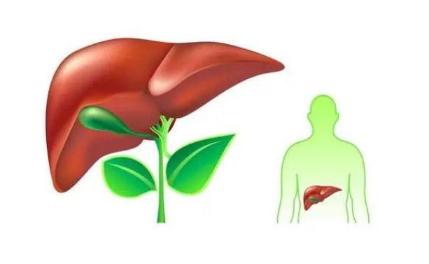 胃潰瘍吃什么水果？蘋果對胃潰瘍有什么好處？