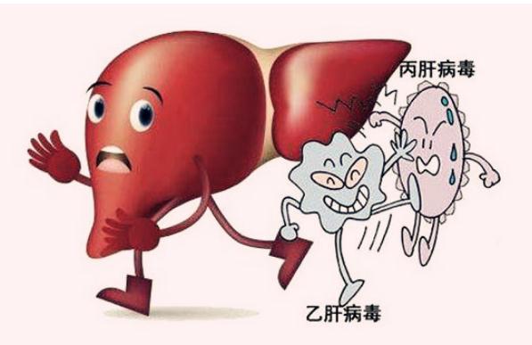 酒精肝能抽煙嗎？酒精肝能治療好嗎？