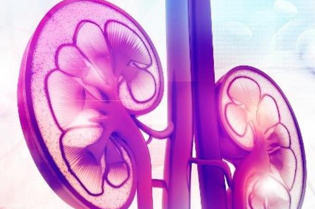 慢性腎炎的人不宜吃什么？腎炎可以吃楊桃嗎？