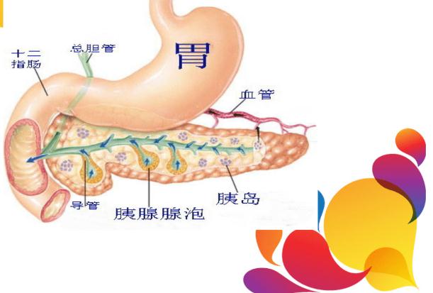 胰腺癌的癥狀有什么呢？胰腺癌造成的原因有什么呢？