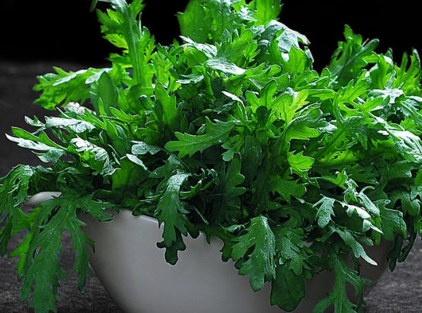 茼蒿發(fā)苦能吃嗎 生物堿經(jīng)咀嚼釋放出苦澀