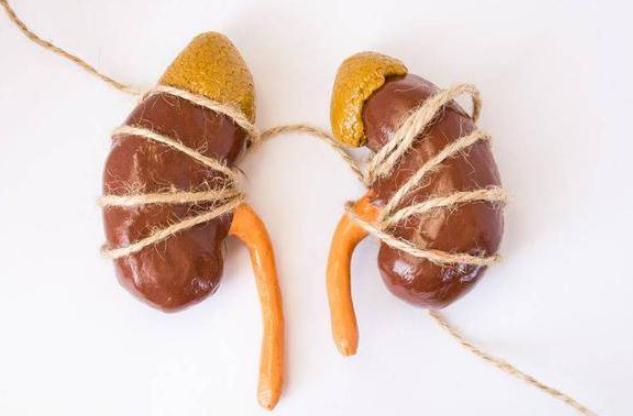 桑葚怎么吃補(bǔ)腎 ？其他補(bǔ)腎食材？